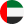 UAE flag